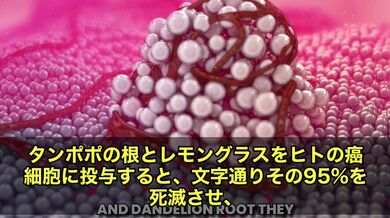 JP TWITTER PORN VIDEOS 00145159