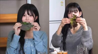 KR TWITTER PORN VIDEOS 00039062