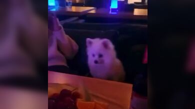 KR TWITTER PORN VIDEOS 00062053
