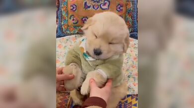 KR TWITTER PORN VIDEOS 00087856