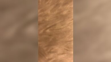 JP TWITTER PORN VIDEOS 00177760