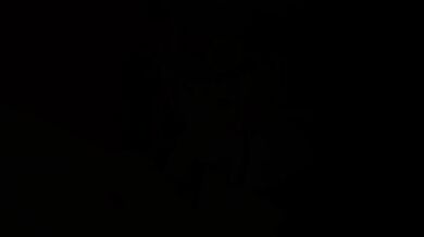 KR TWITTER PORN VIDEOS 00113674