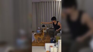 JP TWITTER PORN VIDEOS 00062184