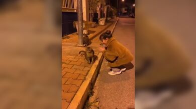 JP TWITTER PORN VIDEOS 00137932