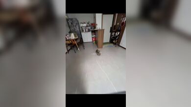 KR TWITTER PORN VIDEOS 00018006