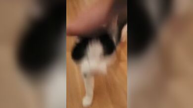 KR TWITTER PORN VIDEOS 00018690