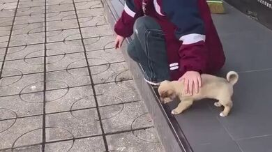 JP TWITTER PORN VIDEOS 00151518