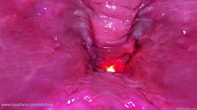 KR TWITTER PORN VIDEOS 00101188