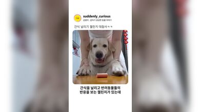 KR TWITTER PORN VIDEOS 00036873