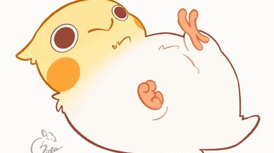 KR TWITTER PORN VIDEOS 00049840