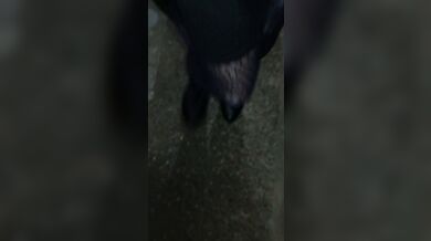 JP TWITTER PORN VIDEOS 00198676