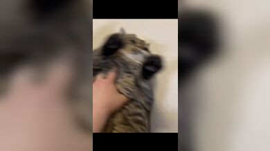 JP TWITTER PORN VIDEOS 00175240
