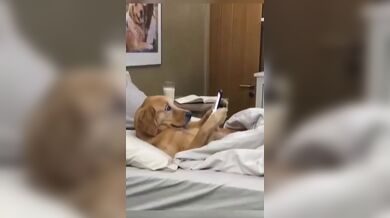 KR TWITTER PORN VIDEOS 00181158