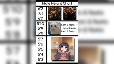 KR TWITTER PORN VIDEOS 00063066