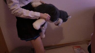 JP TWITTER PORN VIDEOS 00175477