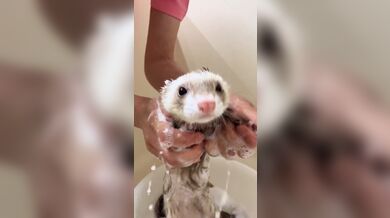 KR TWITTER PORN VIDEOS 00088954