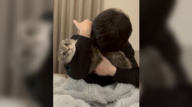 KR TWITTER PORN VIDEOS 00181501