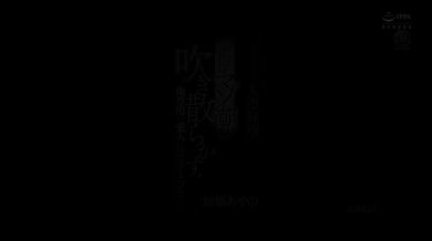 JP NEW 20260324-1348-483
