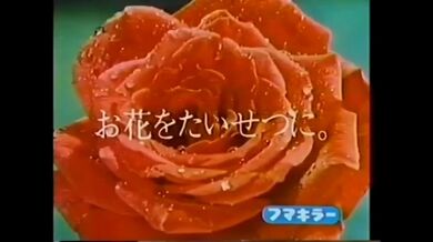JP NEW 20260327-1951-536