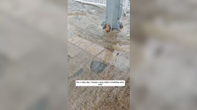 KR TWITTER PORN VIDEOS 00020930