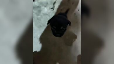 KR TWITTER PORN VIDEOS 00021057