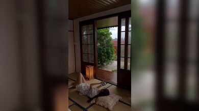 KR TWITTER PORN VIDEOS 00022058