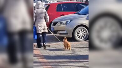 KR TWITTER PORN VIDEOS 00022723