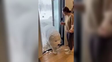KR TWITTER PORN VIDEOS 00023260