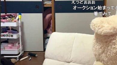 JP NEW 20260407-1251-736