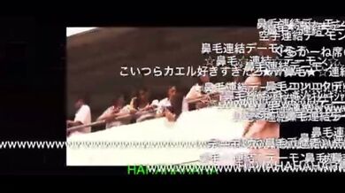 JP NEW 20260410-0009-905