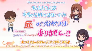 JP NEW 20260411-2252-339