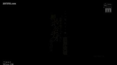 JP NEW 20260414-0805-381