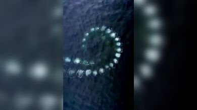 JP TWITTER PORN VIDEOS 00027983