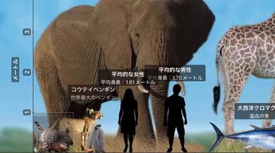JP NEW 20260420-0140-620