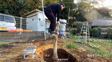 JP NEW 20260420-0440-330