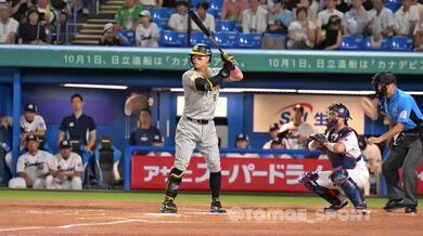 JP NEW 20260421-1701-644