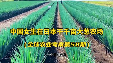 JP NEW 20260421-2219-159