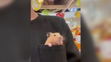 KR TWITTER PORN VIDEOS 00124436
