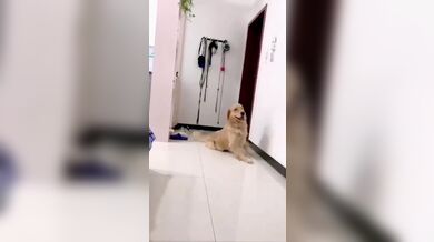 JP TWITTER PORN VIDEOS 00136002