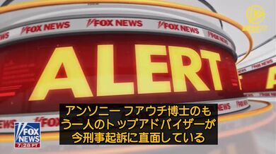 JP NEW 20260502-0040-905