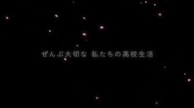 JP NEW 20260502-2040-428