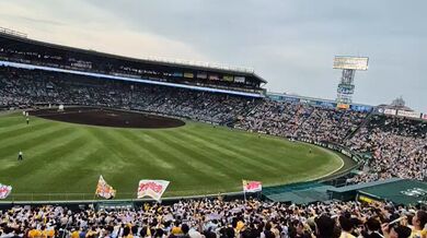 JP NEW 20260503-1440-996