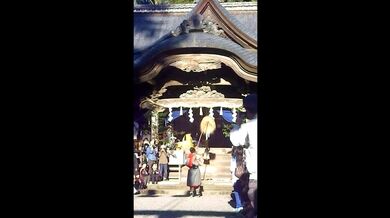 JP NEW 20260508-0140-714