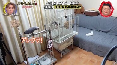 JP NEW 20260511-1340-332