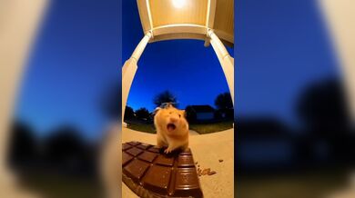 KR TWITTER PORN VIDEOS 00003847
