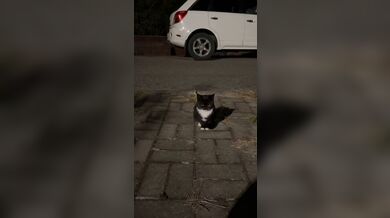 KR TWITTER PORN VIDEOS 00003949