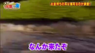 JP NEW 20260515-1340-910