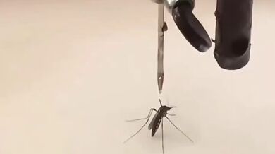 KR TWITTER PORN VIDEOS 00073812
