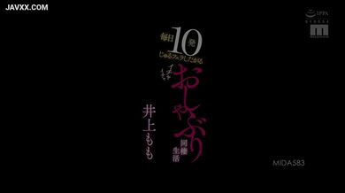 JP NEW 20260525-0040-501