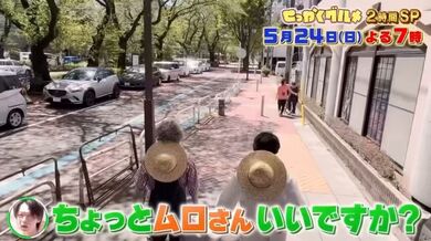 JP NEW 20260526-2040-184